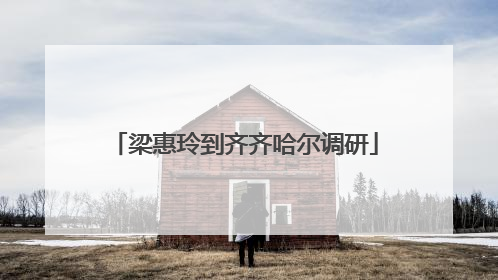 梁惠玲到齐齐哈尔调研