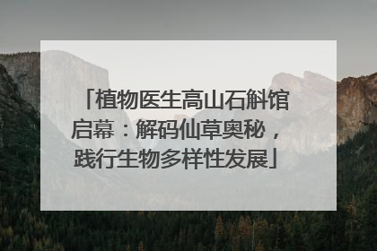 植物医生高山石斛馆启幕：解码仙草奥秘，践行生物多样性发展