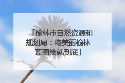 榆林市自然资源和规划局：将美丽榆林蓝图绘就到底