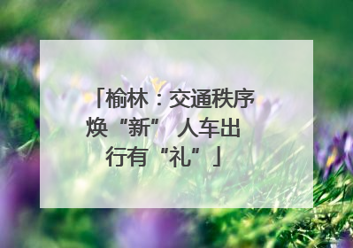 榆林：交通秩序焕“新” 人车出行有“礼”