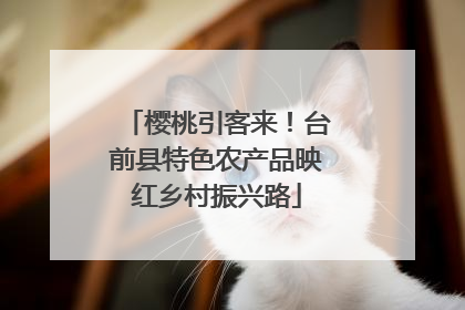 樱桃引客来!台前县特色农产品映红乡村振兴路