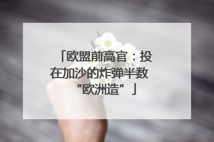 欧盟前高官：投在加沙的炸弹半数“欧洲造”