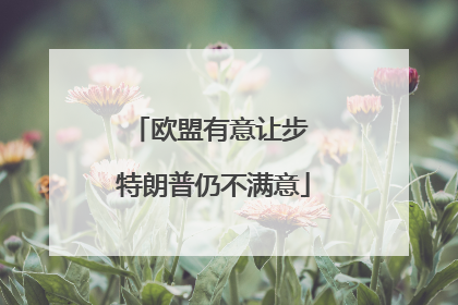 欧盟有意让步 特朗普仍不满意
