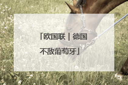 欧国联｜德国不敌葡萄牙