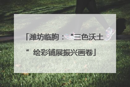 潍坊临朐：“三色沃土”绘彩铺展振兴画卷