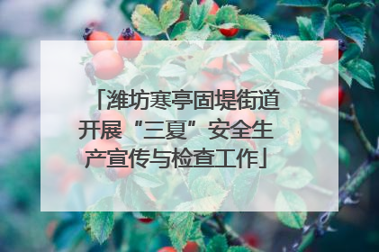 潍坊寒亭固堤街道开展“三夏”安全生产宣传与检查工作