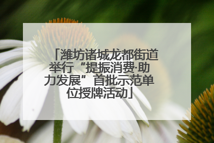 潍坊诸城龙都街道举行“提振消费·助力发展”首批示范单位授牌活动