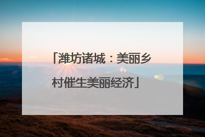 潍坊诸城：美丽乡村催生美丽经济