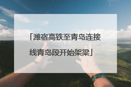 潍宿高铁至青岛连接线青岛段开始架梁