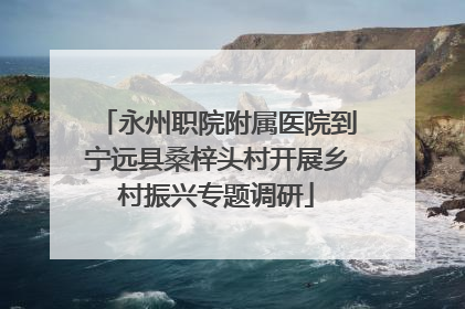 永州职院附属医院到宁远县桑梓头村开展乡村振兴专题调研