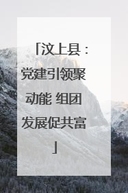 汶上县：党建引领聚动能 组团发展促共富