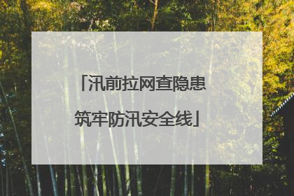 汛前拉网查隐患 筑牢防汛安全线