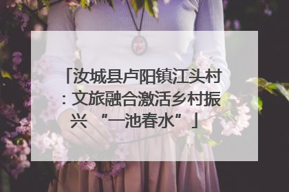 汝城县卢阳镇江头村：文旅融合激活乡村振兴 “一池春水”