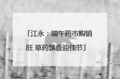 江永：端午药市购销旺 草药飘香迎佳节