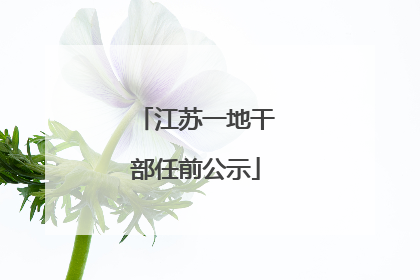 江苏一地干部任前公示
