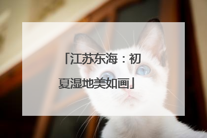 江苏东海：初夏湿地美如画