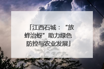 江西石城：“放蜂治蚜”助力绿色防控与农业发展