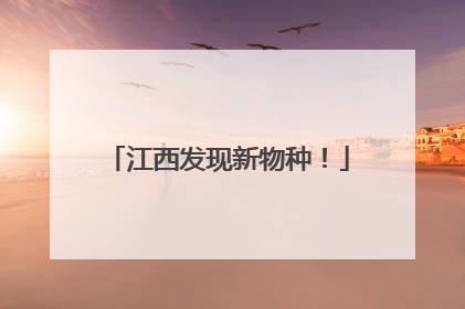江西发现新物种！