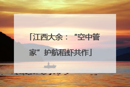 江西大余：“空中管家”护航稻虾共作