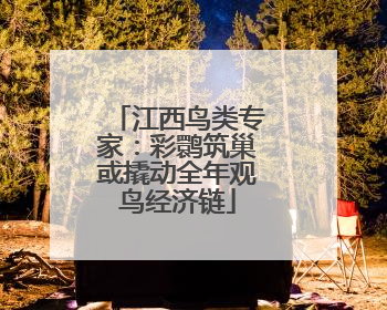 江西鸟类专家：彩鹮筑巢或撬动全年观鸟经济链