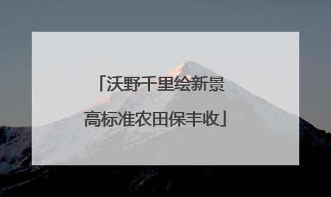沃野千里绘新景 高标准农田保丰收