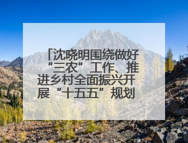 沈晓明围绕做好“三农”工作、推进乡村全面振兴开展“十五五”规划专题调研