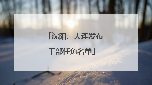 沈阳、大连发布干部任免名单
