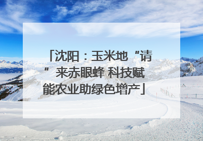 沈阳：玉米地“请”来赤眼蜂 科技赋能农业助绿色增产
