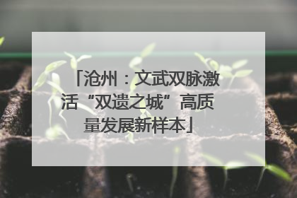 沧州：文武双脉激活“双遗之城”高质量发展新样本