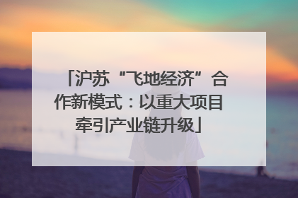 沪苏“飞地经济”合作新模式：以重大项目牵引产业链升级