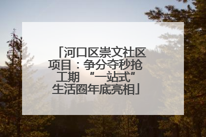 河口区崇文社区项目：争分夺秒抢工期 “一站式”生活圈年底亮相