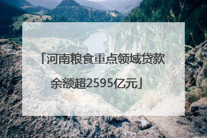 河南粮食重点领域贷款余额超2595亿元