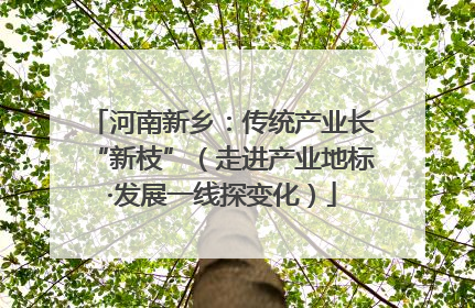 河南新乡：传统产业长“新枝”（走进产业地标·发展一线探变化）