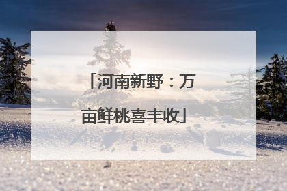 河南新野：万亩鲜桃喜丰收