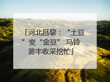河北昌黎：“土豆”变“金豆” 马铃薯丰收采挖忙
