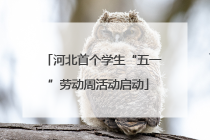 河北首个学生“五一”劳动周活动启动