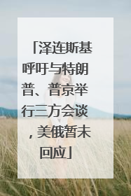 泽连斯基呼吁与特朗普、普京举行三方会谈，美俄暂未回应