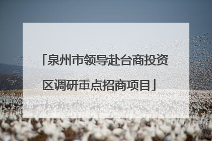 泉州市领导赴台商投资区调研重点招商项目