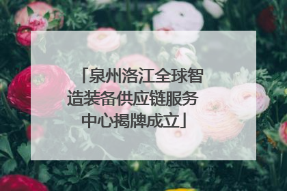 泉州洛江全球智造装备供应链服务中心揭牌成立