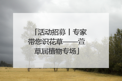 活动招募丨专家带您识花草——萱草属植物专场