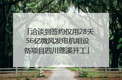 洽谈到签约仅用28天 56亿微风发电机组设备项目四川蓬溪开工