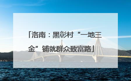 洛南：黑彰村“一地三金”铺就群众致富路