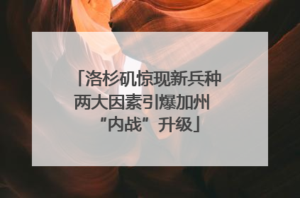 洛杉矶惊现新兵种 两大因素引爆加州“内战”升级
