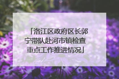 洛江区政府区长郭宁带队赴河市镇检查重点工作推进情况