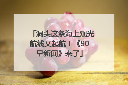 洞头这条海上观光航线又起航！《90早新闻》来了