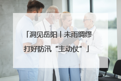 洞见岳阳丨未雨绸缪 打好防汛“主动仗”
