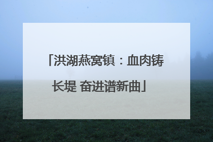 洪湖燕窝镇：血肉铸长堤 奋进谱新曲