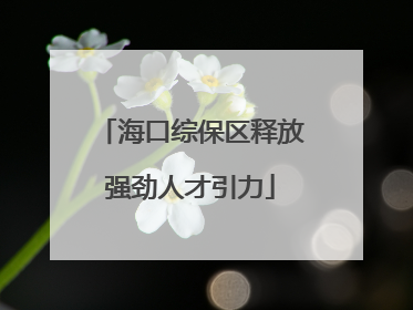 海口综保区释放强劲人才引力