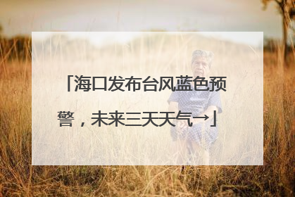 海口发布台风蓝色预警，未来三天天气→