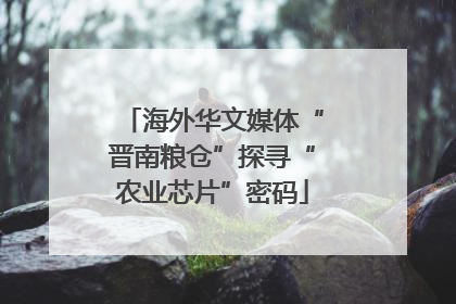 海外华文媒体“晋南粮仓”探寻“农业芯片”密码